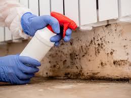 Best Water Damage & Mold Remediation in Lakewood, IL